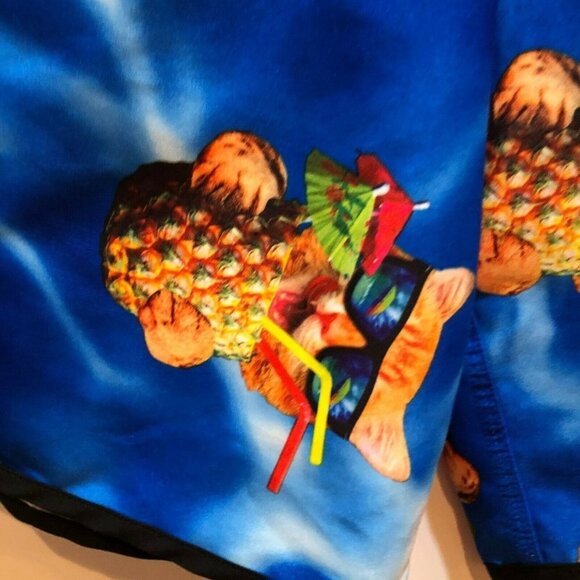 Bioworld Cat Pineapple Drawstring Board Shorts - Picture 5 of 10
